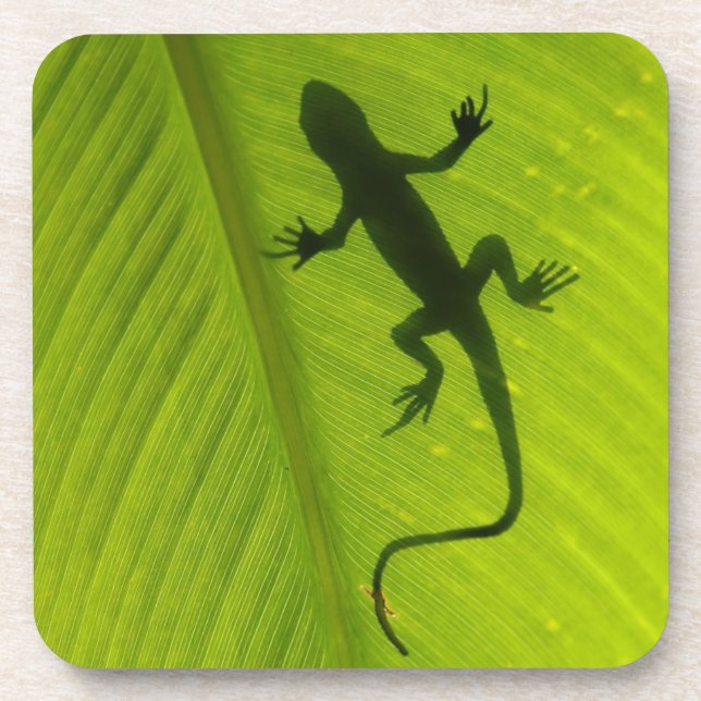 Gecko Silhouette Coaster (Front)