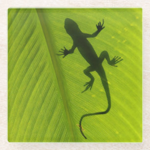 Gecko Silhouette Glass Coaster