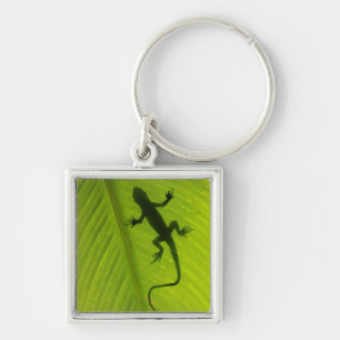 Gecko Silhouette Key Ring