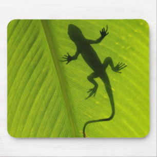 Gecko Silhouette Mouse Pad