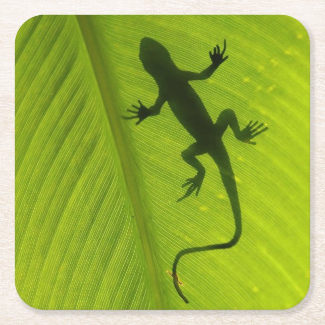 Gecko Silhouette Square Paper Coaster (Front)