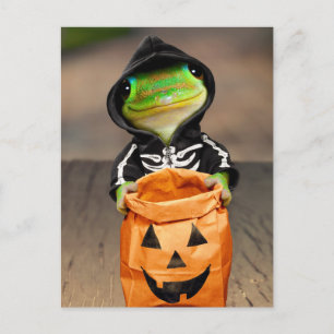Gecko Skeleton Invitation Postcard