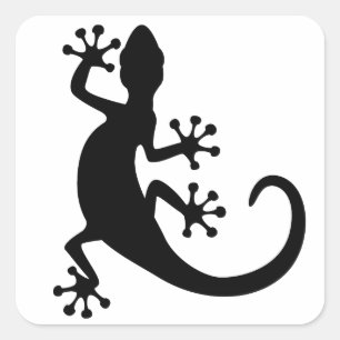 Gecko Square Sticker