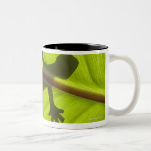 Gecko Two-Tone Coffee Mug