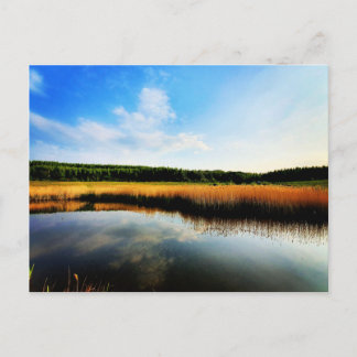 Gedling Country Park Postcard