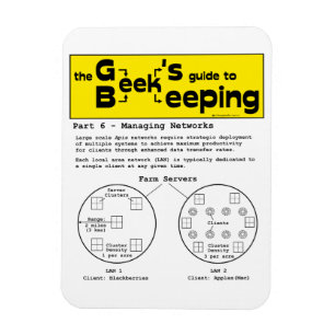 Geek Beekeeping (Networks) - Magnet