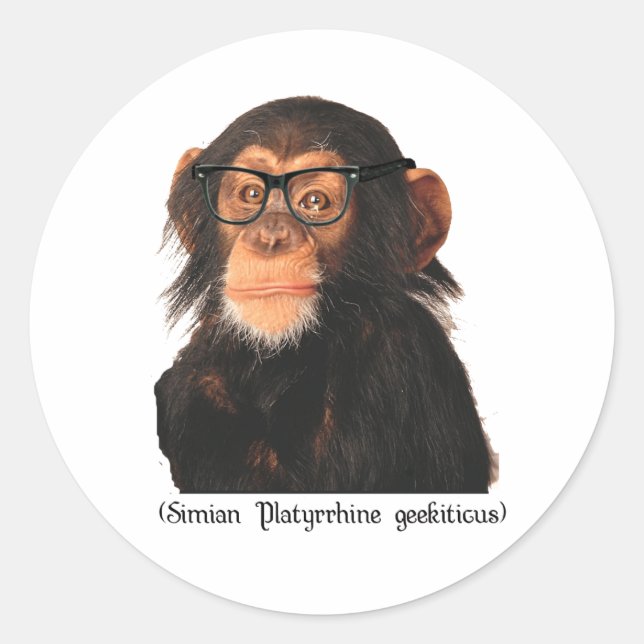 geek monkey classic round sticker (Front)