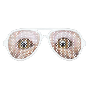 godkende symptom lineal Monkey Sunglasses & Eyewear | Zazzle.com.au