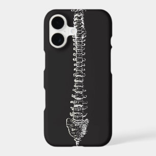 Geeky Spine Anatomy Spinal Cord Vertebral Column