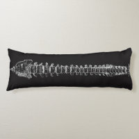 Geeky Spine Anatomy Spinal Cord Vertebral Column