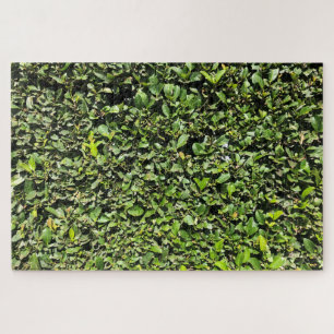geen hedge jigsaw puzzle