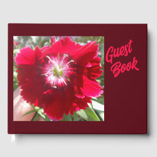 Geertje Guest Book