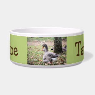 Geese