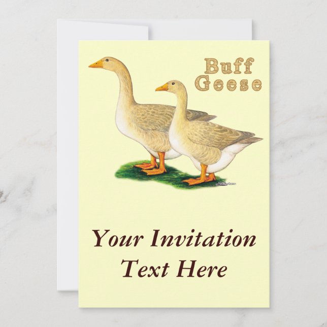 Geese:  American Buffs Invitation (Front)