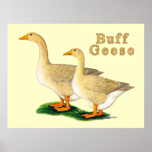 Geese: American Buffs Poster