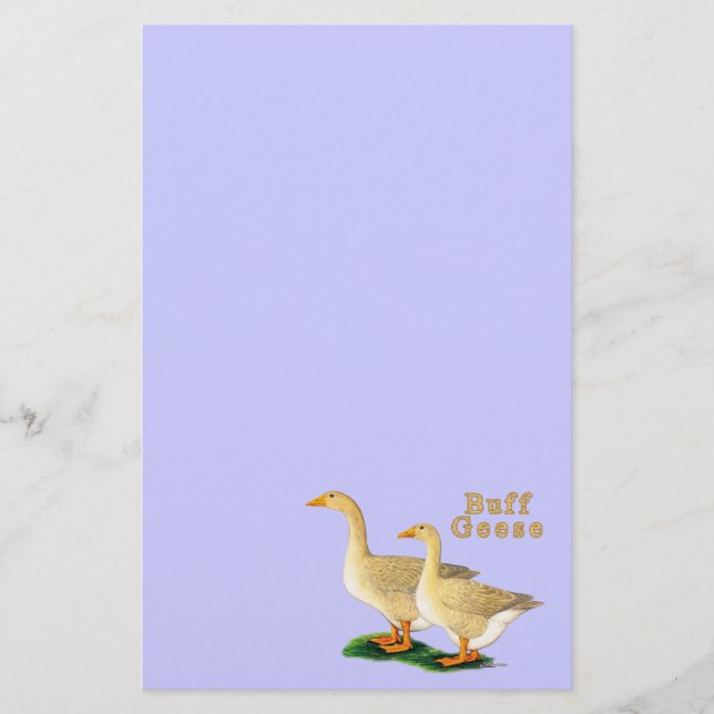Geese:  American Buffs Stationery (Front)