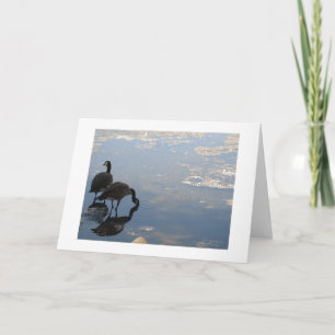 geese and reflection card