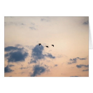 Geese and Soft Sunset
