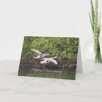 Geese Anniversary
