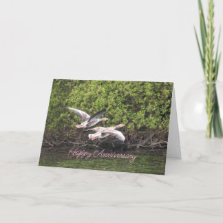Geese Anniversary Thank You Card