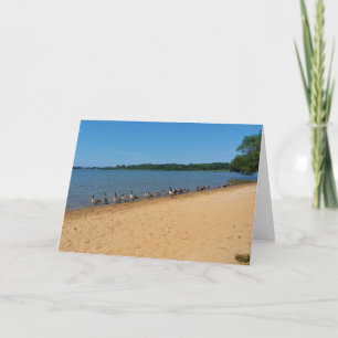 Geese at Silver Lake, Wisconsin Card
