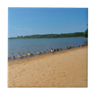 Geese at Silver Lake, Wisconsin Ceramic Tile