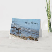 Geese Birthday Card