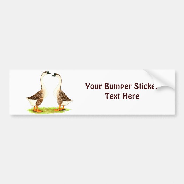 Geese:  Brown Chinese Bumper Sticker (Front)