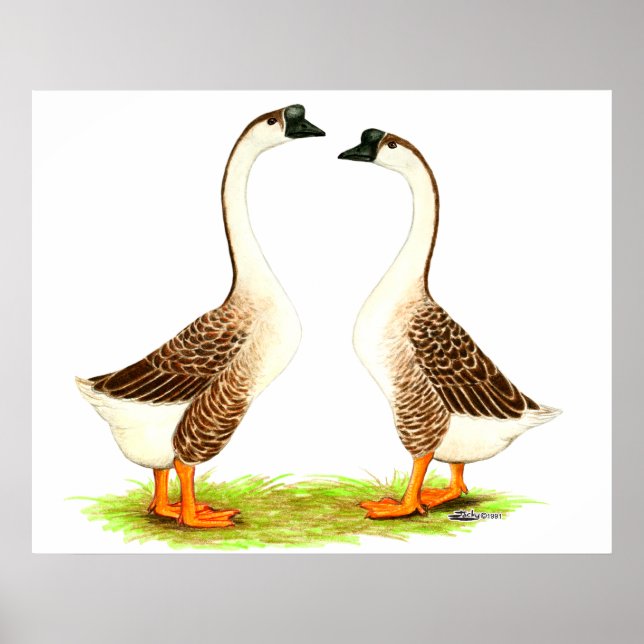 Geese:  Brown Chinese Poster (Front)