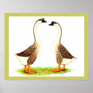 Geese:  Brown Chinese Poster