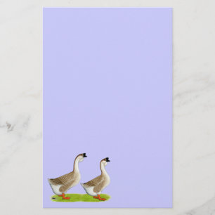 Geese: Buff African Stationery