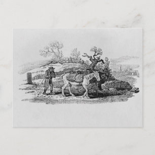 Geese carried to market postcard