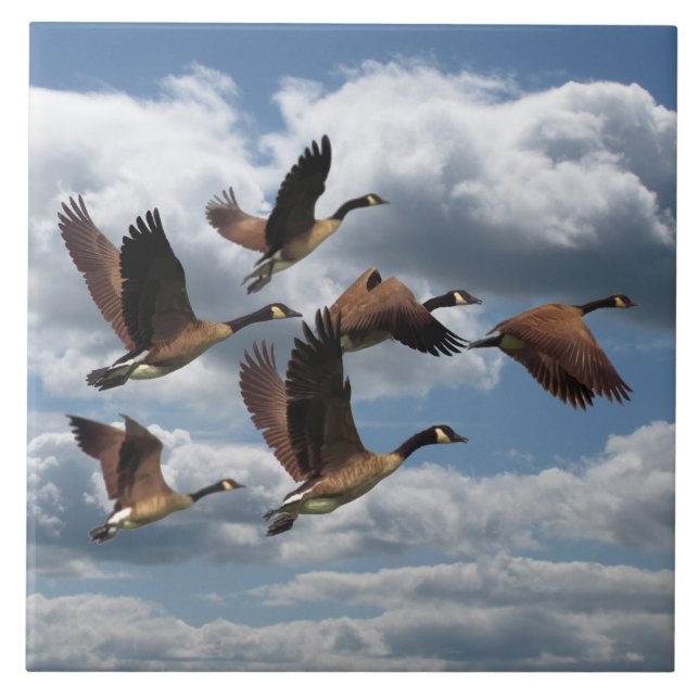 GEESE CERAMIC TILE (Front)