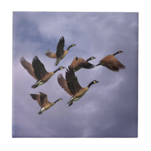GEESE  CERAMIC TILE