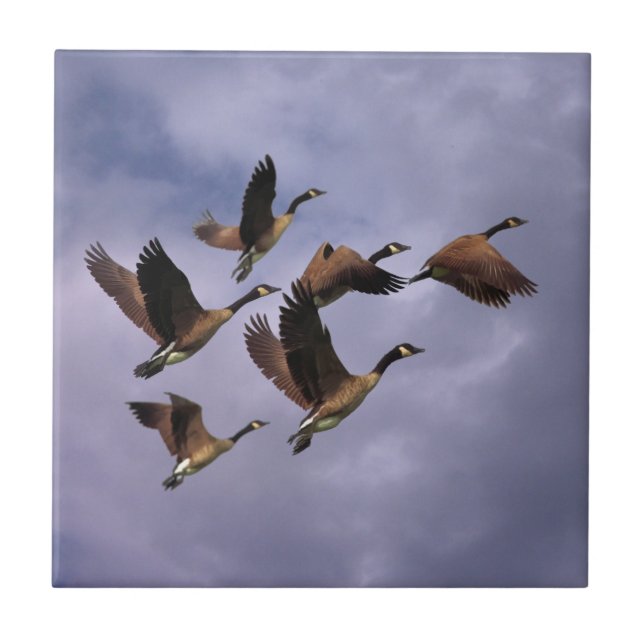 GEESE  CERAMIC TILE (Front)
