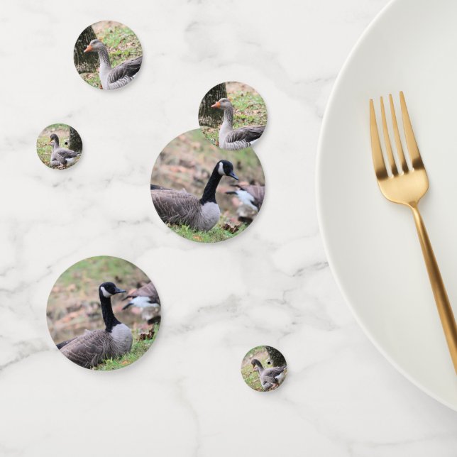 Geese Confetti (Group)