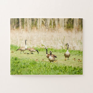 Geese & Goslings Oversized Jigsaw Puzzle