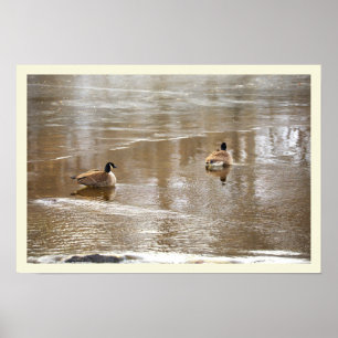  Geese in Icy Creek Poster