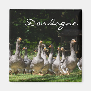Geese in the Dordogne text magnet