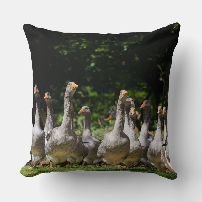 Geese in the Dordogne throw pillow (Front)