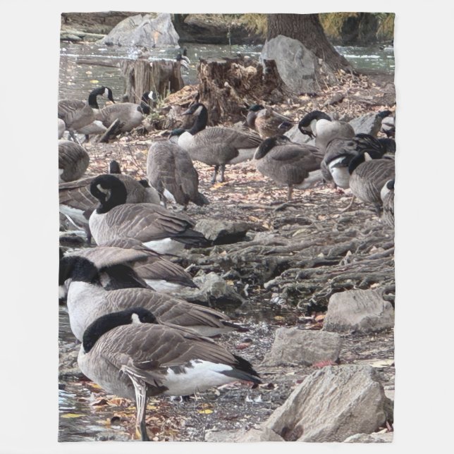 Geese in the Park Fleece Blanket (Front)