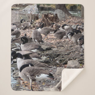 Geese in the Park Sherpa Blanket