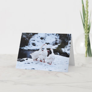Geese in Winter Holiday Card