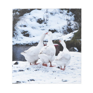 Geese in Winter Notepad