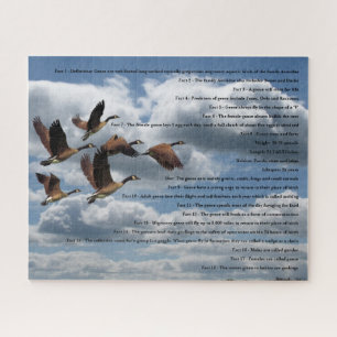 GEESE JIGSAW PUZZLE