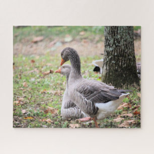 Geese Jigsaw Puzzle