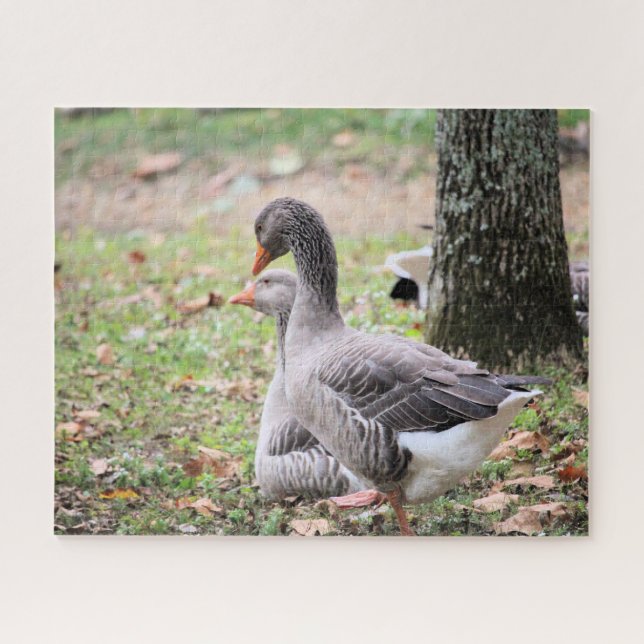 Geese Jigsaw Puzzle (Horizontal)