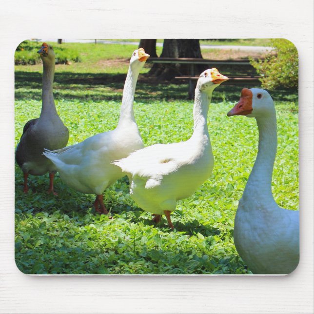 Geese Mouse Pad (Front)