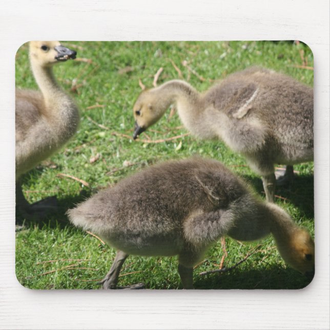 Geese on the Grass Mouse Pad (Front)