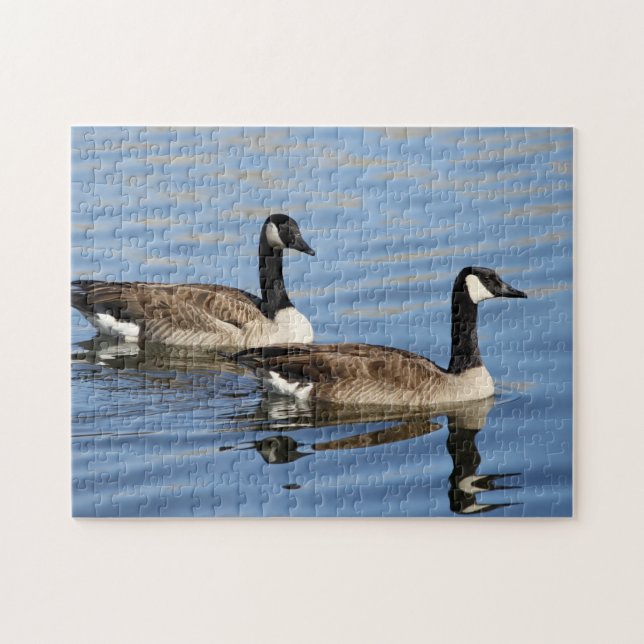 Geese on water jigsaw puzzle (Horizontal)